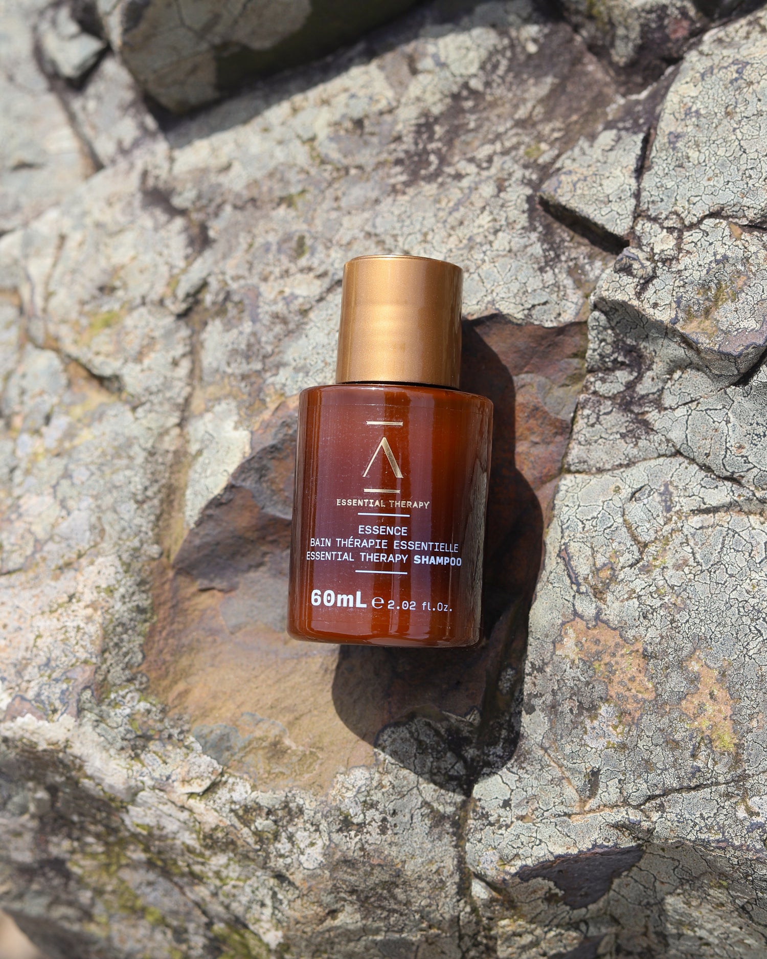 Bain Thérapie Essentielle Essence Shampoo 60ml